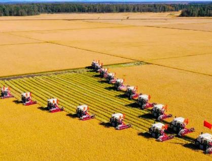 今年粮食产量预计首次突破1.4万亿斤 农业农村经济稳中提质